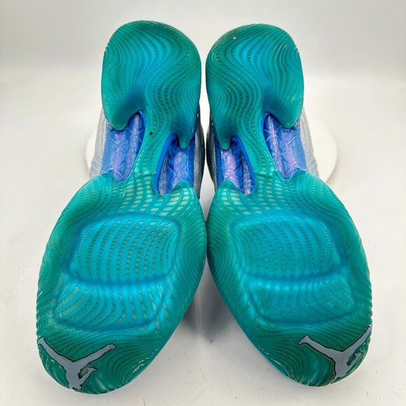 Nike Air Jordan 29 XX9 Playoff Home Men Size 10 749143-104 White Grey Blue Shoes - Picture 8 of 11